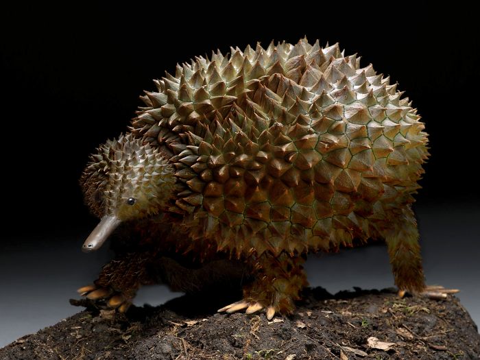 Animals Photoshopped Into Plants