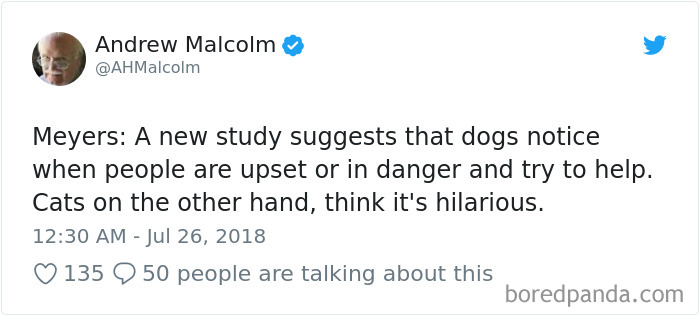 Hilarious-Dog-Tweets