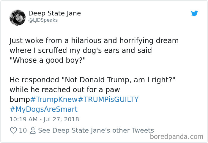 Hilarious-Dog-Tweets