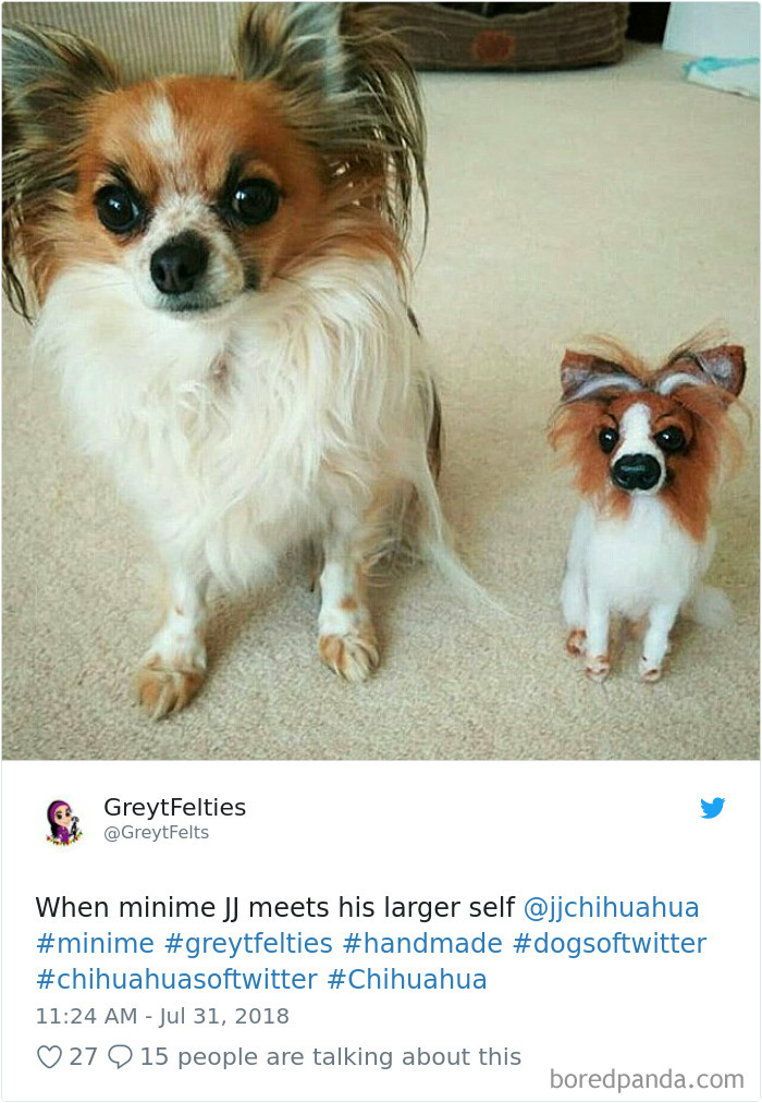 Hilarious-Dog-Tweets