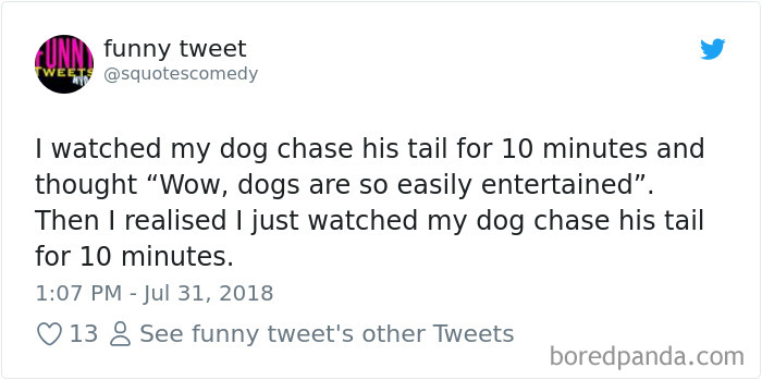 Hilarious-Dog-Tweets