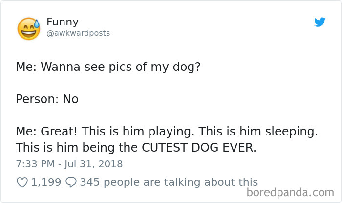 Hilarious-Dog-Tweets
