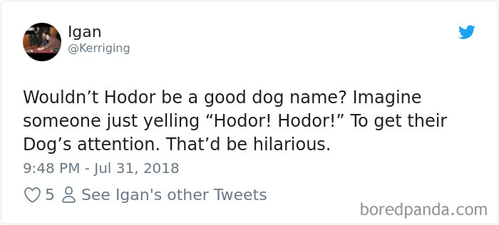 Hilarious-Dog-Tweets