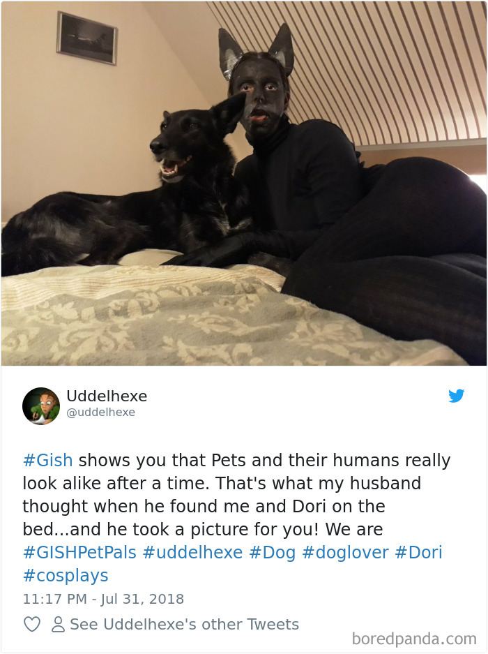 Hilarious-Dog-Tweets