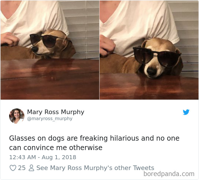 Hilarious-Dog-Tweets