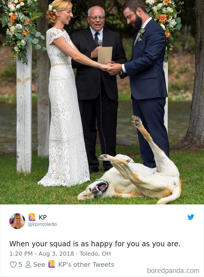 Hilarious-Dog-Tweets