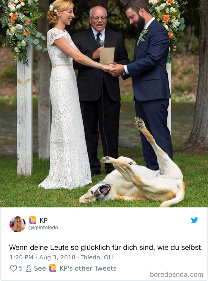 Hilarious-Dog-Tweets