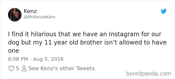 Hilarious-Dog-Tweets