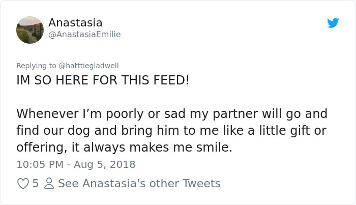 Partner-Relationship-Love-Hatttiegladwell