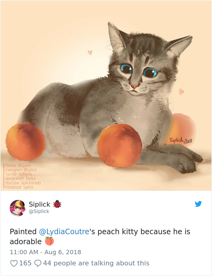 This Adorable Cat Loves Peaches And People On The Internet Are Losing Their Minds This Adorable Cat Loves Peaches And People On The Internet Are Losing Their Minds