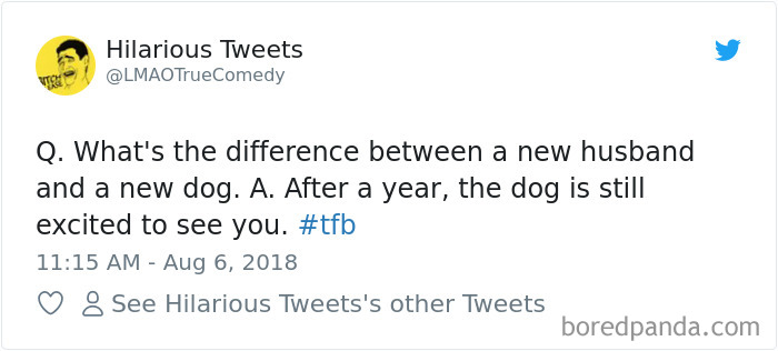 Hilarious-Dog-Tweets