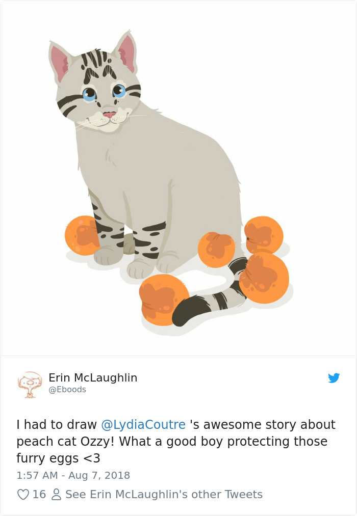 This Adorable Cat Loves Peaches And People On The Internet Are Losing Their Minds This Adorable Cat Loves Peaches And People On The Internet Are Losing Their Minds