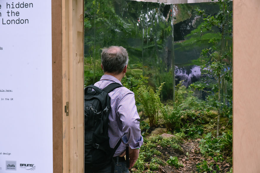 I Created A Secret Forest In The Very Heart Of London I Created A Secret Forest In The Very Heart Of London