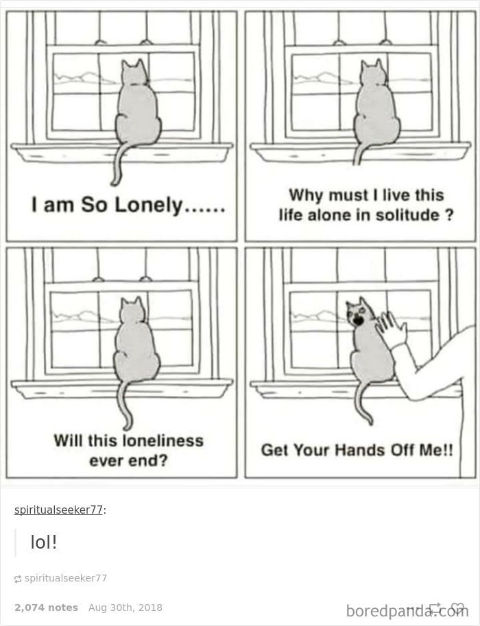 Introvert-Problems-Tumblr