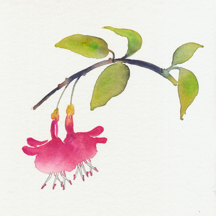 Illustrations For Every Color From "The Secret Lives Of Color" Book.