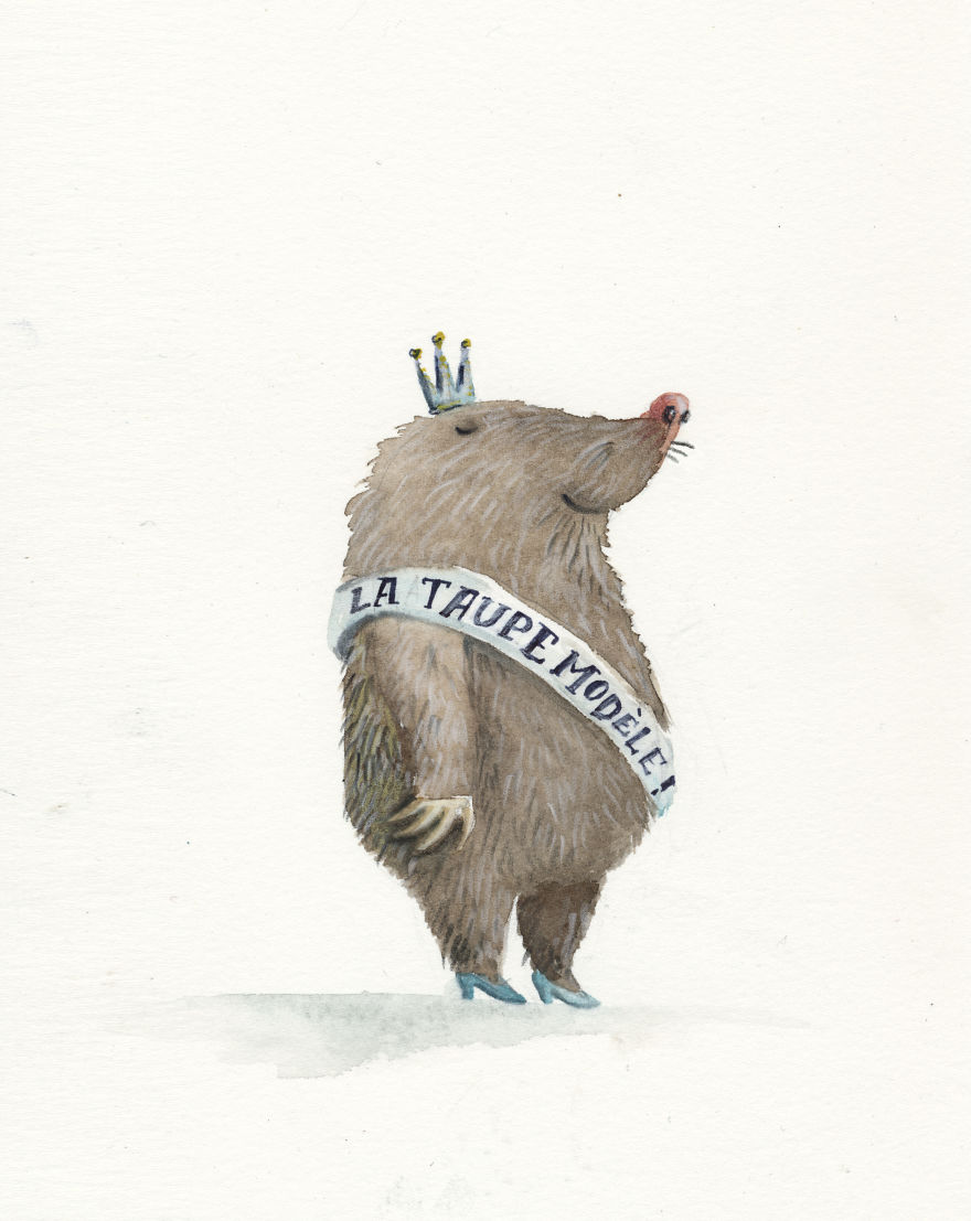 Illustrations For Every Color From "The Secret Lives Of Color" Book.