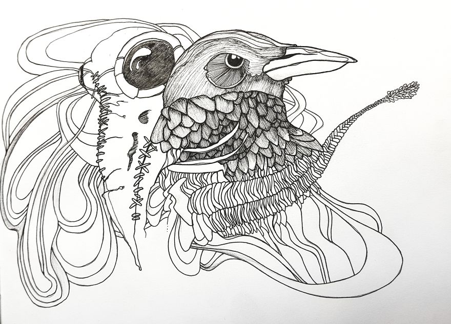 Only Dead Birds Can Be Free