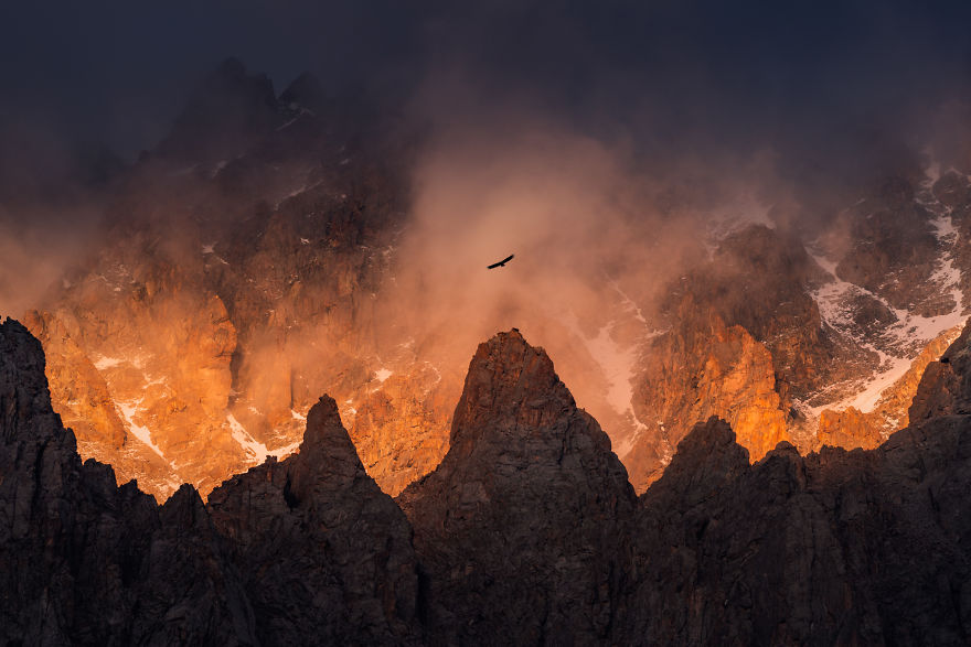 An Eagle Flying Over The Tops Of The Ala-Archa Mountains