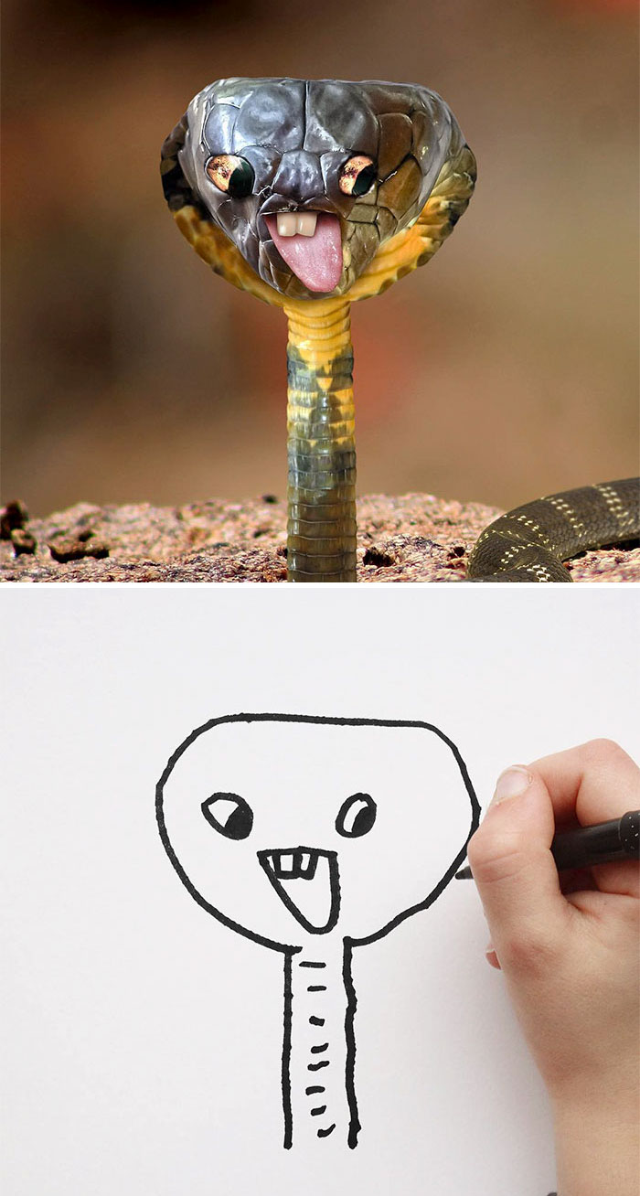 Happy Snake