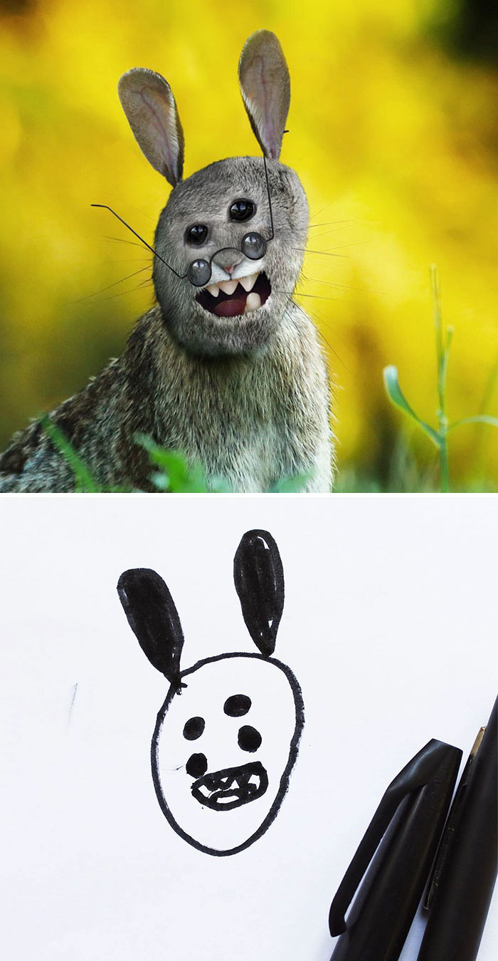 Hare With Glasses In Real Life