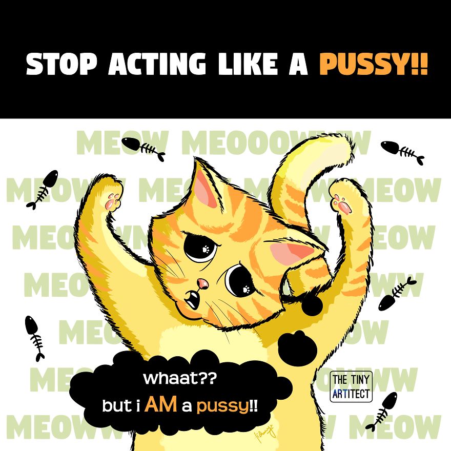 These Cute And Naughty Animals Have Some Relation To Your Everyday Slang!