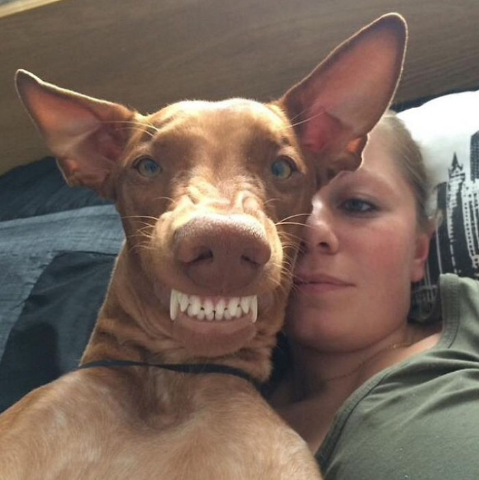 20 Animals That Are Better At Selfies Than You Are 20 Animals That Are Better At Selfies Than You Are
