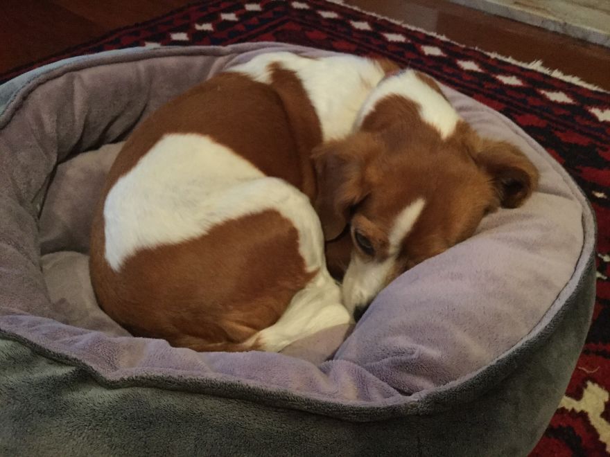 Abandoned At 4 Months Abandoned At 4 Months