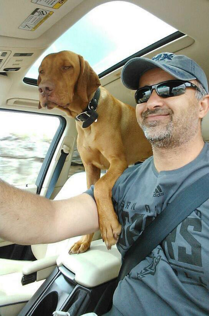 Dog Waits For His Owner To Arrive Home In A Unique Way, And It's Hilarious Dog Waits For His Owner To Arrive Home In A Unique Way, And It's Hilarious