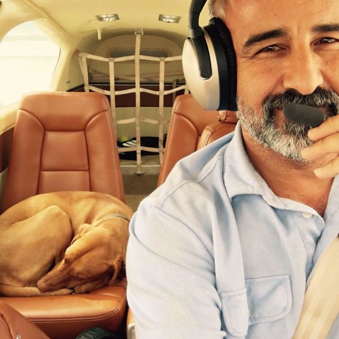 Dog Waits For His Owner To Arrive Home In A Unique Way, And It's Hilarious Dog Waits For His Owner To Arrive Home In A Unique Way, And It's Hilarious