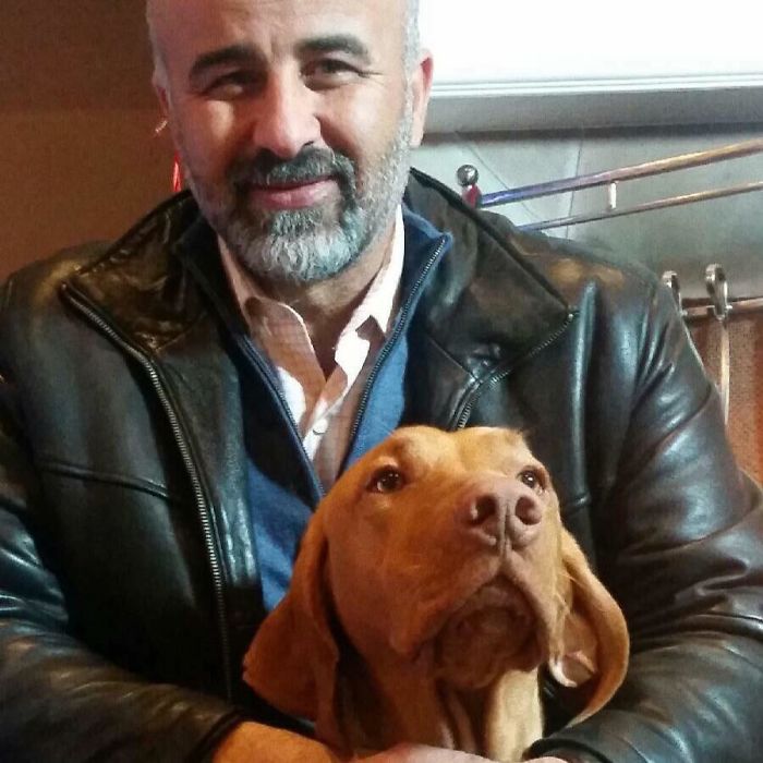 Dog Waits For His Owner To Arrive Home In A Unique Way, And It's Hilarious Dog Waits For His Owner To Arrive Home In A Unique Way, And It's Hilarious