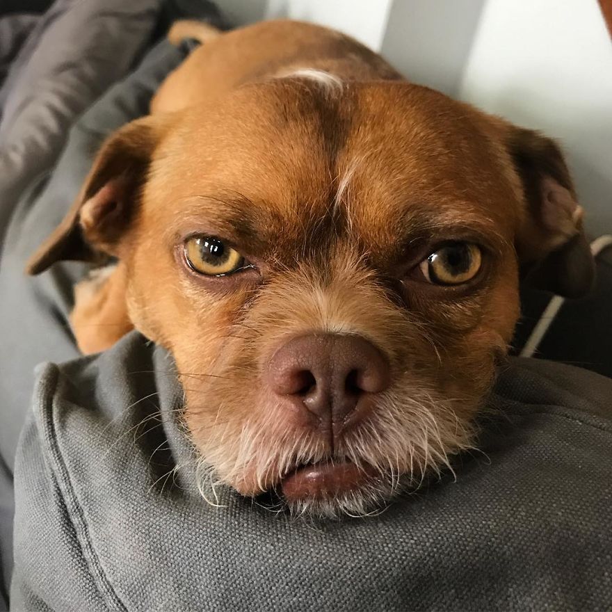 Hard Nope For Monday