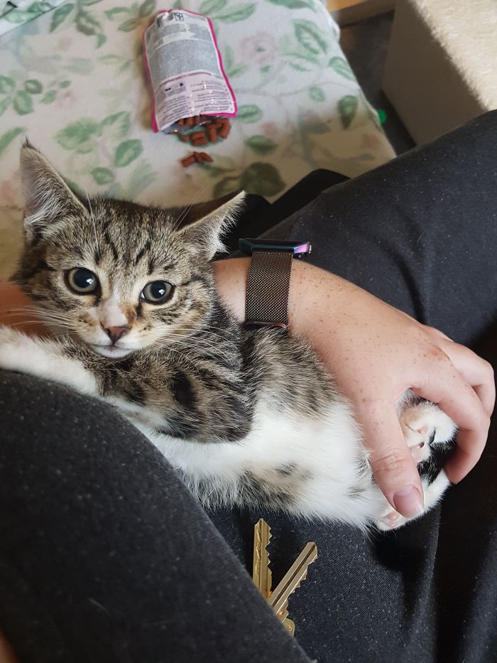 15 Reasons 'Why I Hate My Job' 15 Reasons 'Why I Hate My Job'