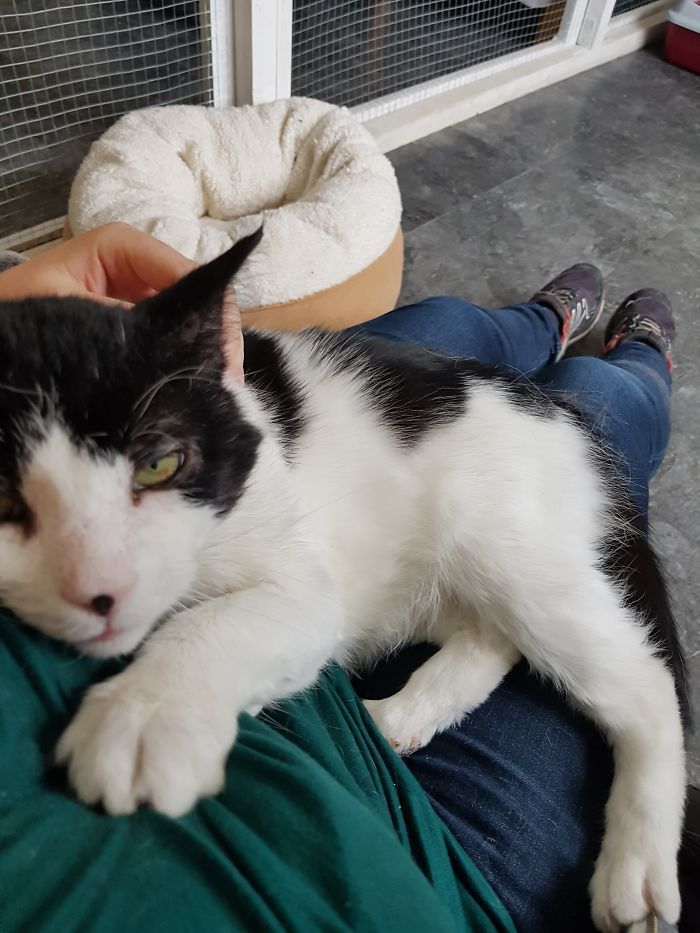 15 Reasons 'Why I Hate My Job' 15 Reasons 'Why I Hate My Job'