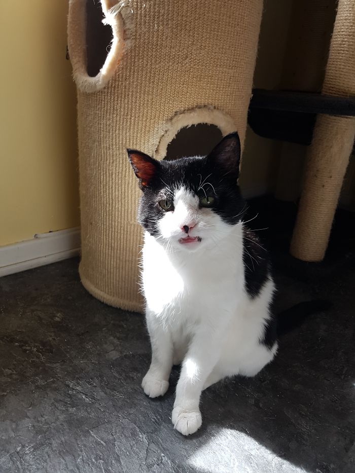 15 Reasons 'Why I Hate My Job' 15 Reasons 'Why I Hate My Job'