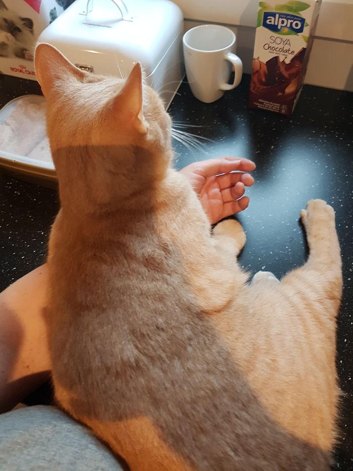 15 Reasons 'Why I Hate My Job' 15 Reasons 'Why I Hate My Job'