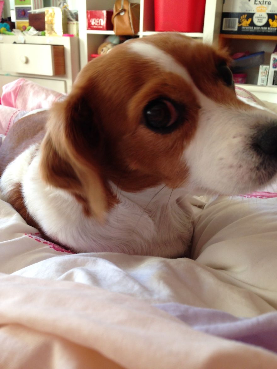 Abandoned At 4 Months Abandoned At 4 Months