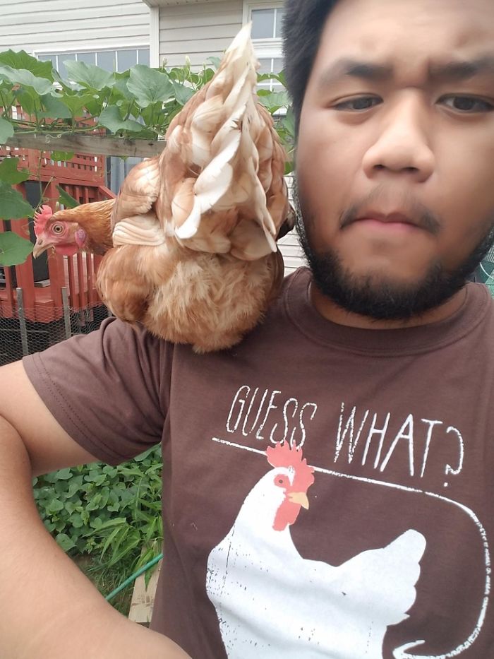 20 Animals That Are Better At Selfies Than You Are 20 Animals That Are Better At Selfies Than You Are