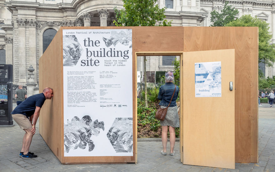 I Created A Secret Forest In The Very Heart Of London