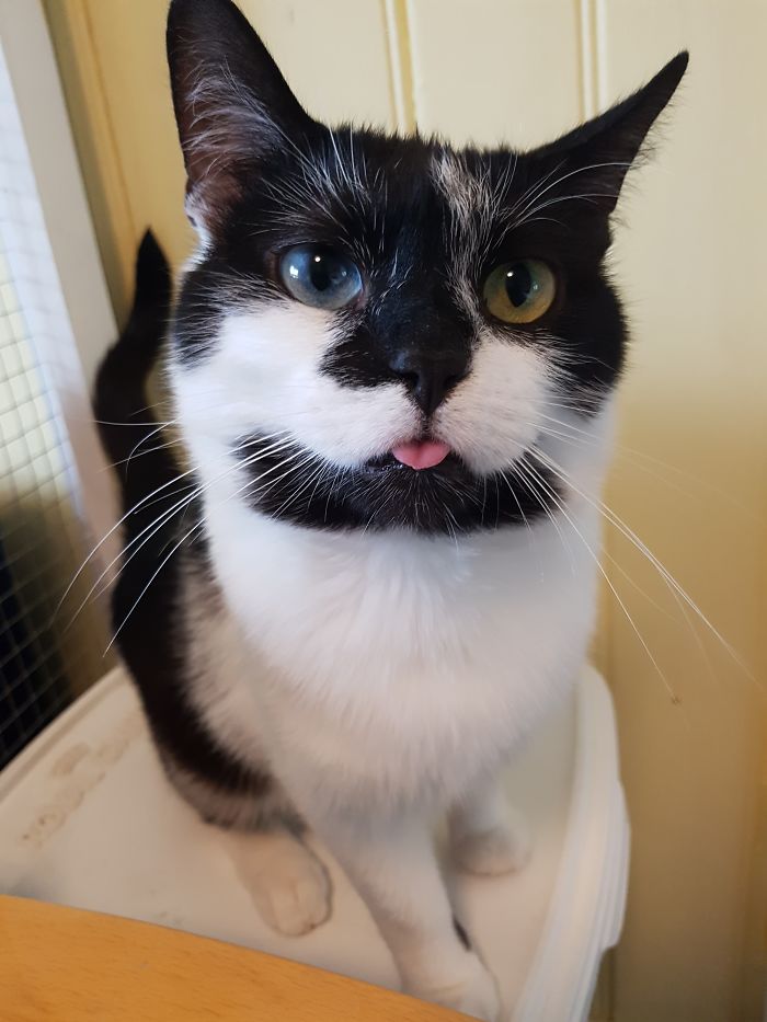 15 Reasons 'Why I Hate My Job' 15 Reasons 'Why I Hate My Job'