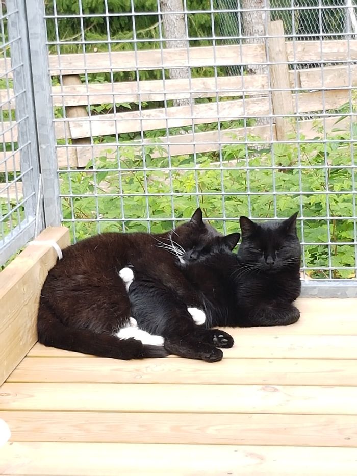 15 Reasons 'Why I Hate My Job' 15 Reasons 'Why I Hate My Job'