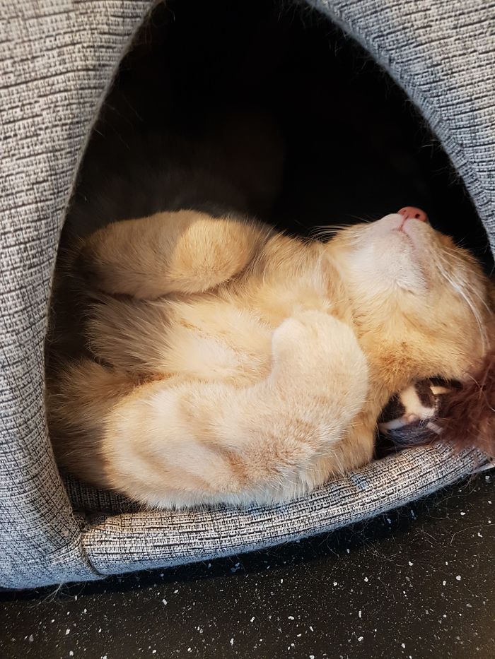 15 Reasons 'Why I Hate My Job' 15 Reasons 'Why I Hate My Job'