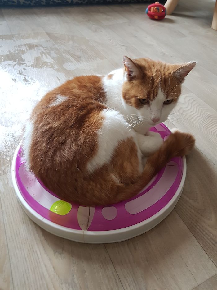 15 Reasons 'Why I Hate My Job' 15 Reasons 'Why I Hate My Job'