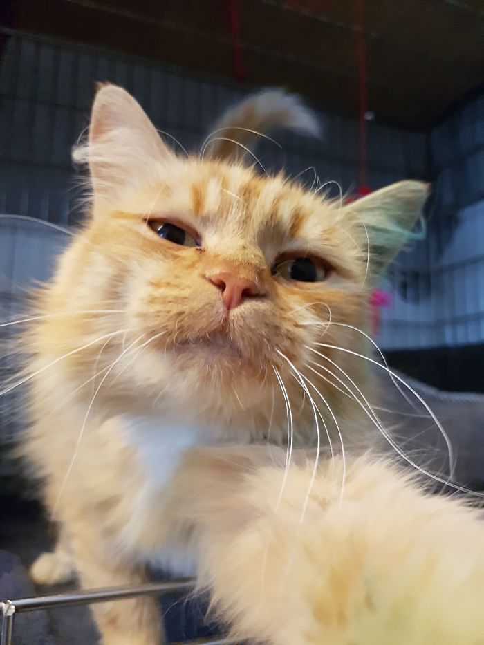 15 Reasons 'Why I Hate My Job' 15 Reasons 'Why I Hate My Job'