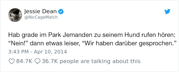 Hilarious-Dog-Tweets