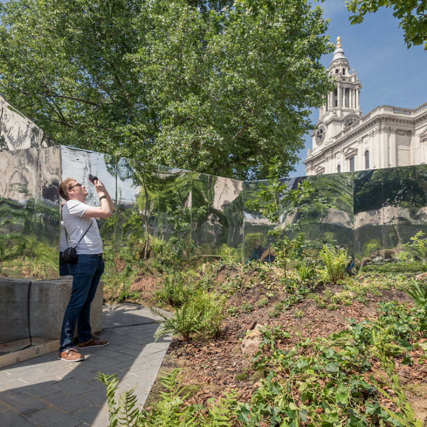 I Created A Secret Forest In The Very Heart Of London