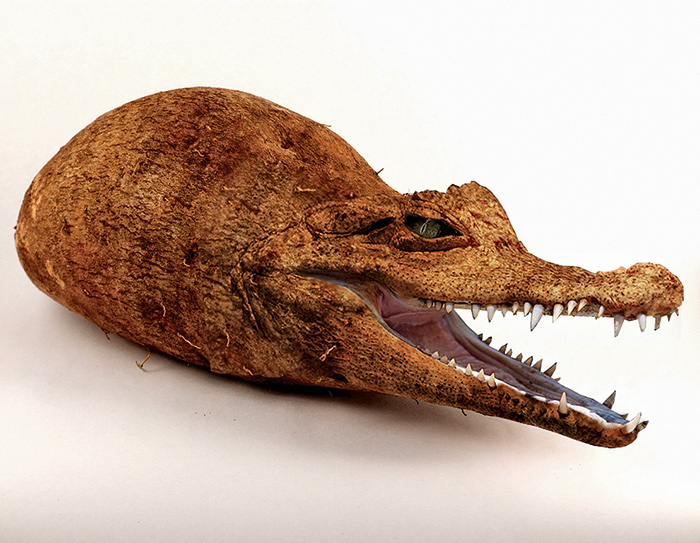 Animals Photoshopped Into Plants