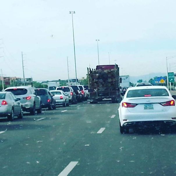 Everyone Else On The Freeway Has Seen Final Destination Too