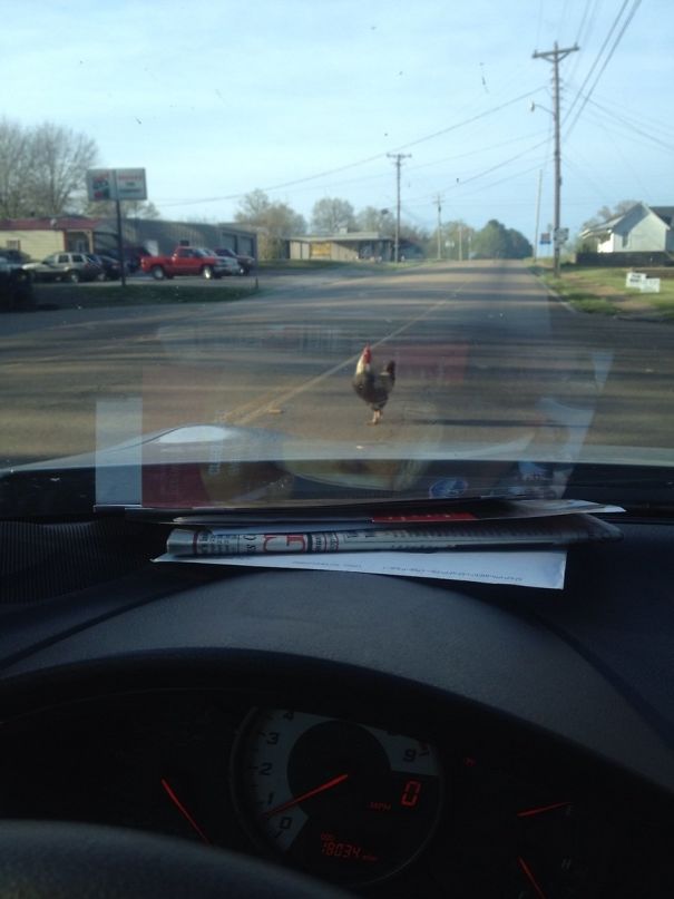 I Got Cockblocked On The Way Home Today