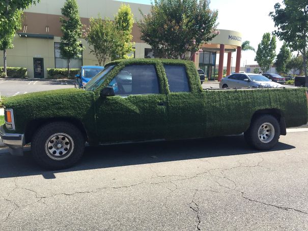 I Passed This Truck Covered With Artificial Turf