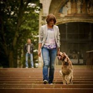 annvandendries avatar